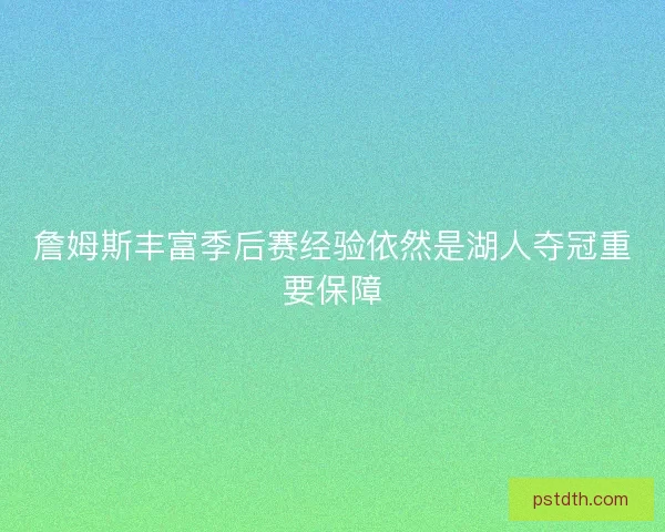 詹姆斯丰富季后赛经验依然是湖人夺冠重要保障